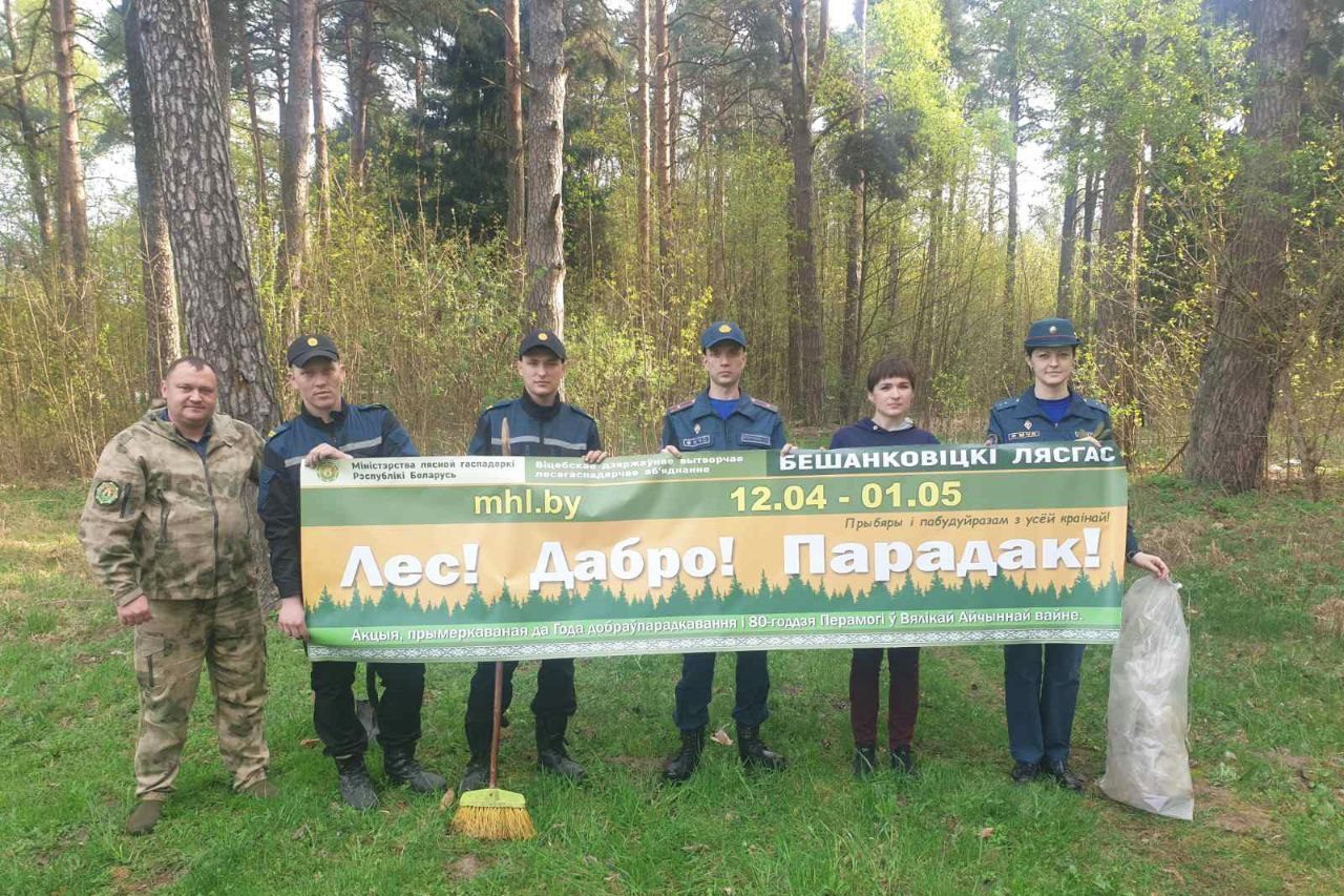 лес