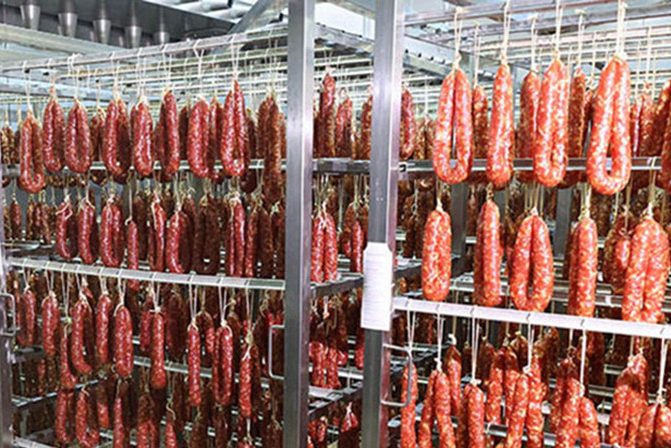 000021 1767875322 757854 big e1767951929786