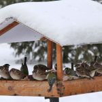 1 1 1 e1768455420597