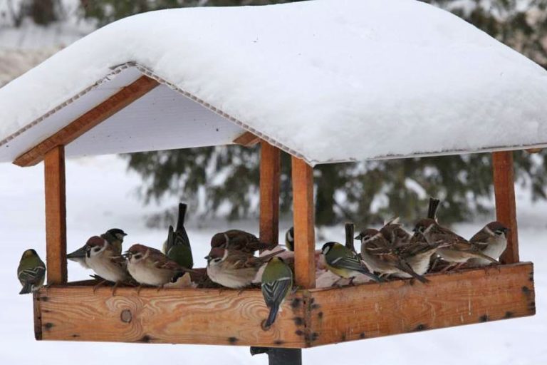 1 1 1 e1768455420597