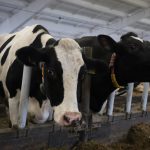 IMG 7212 scaled e1768895819819