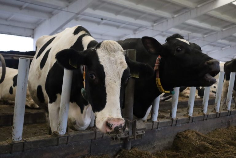 IMG 7212 scaled e1768895819819