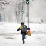 p031gif0vm2t6dlvm3pqb7bumzaoapn3 e1768379518235