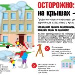 photo 2026 01 12 09 15 27 e1768284919331