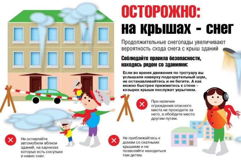 photo 2026 01 12 09 15 27 e1768284919331