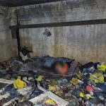 photo 2026 01 15 10 14 10 2 e1768461423153