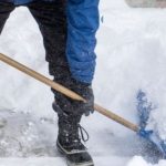 photo 2026 01 29 08 43 16