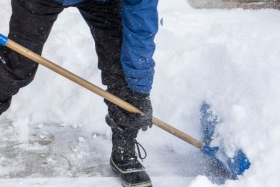 photo 2026 01 29 08 43 16