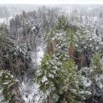 001290 144af3fd1d9bcaf2a0a7f57c1e8f893a