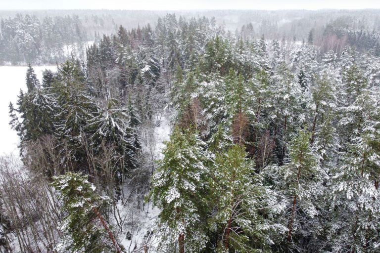 001290 144af3fd1d9bcaf2a0a7f57c1e8f893a