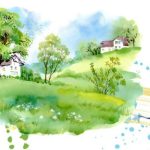 11944 e1770713256536