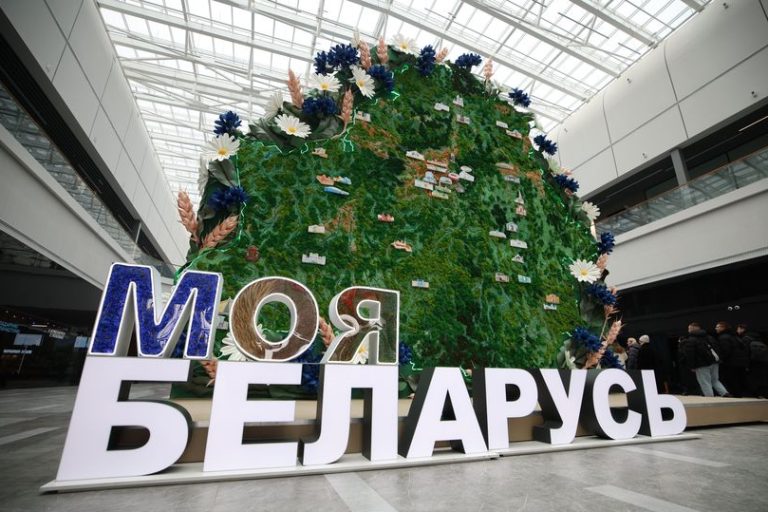 GOR 8084 result e1772087771918