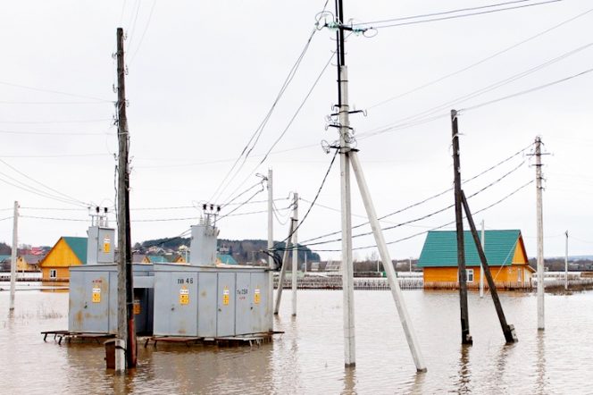 b7c617faba71ed25b28bec75a2b42d4c XL e1771852115216