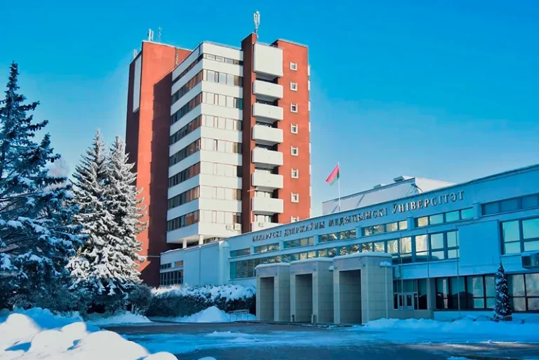 main 0 e1772000355539