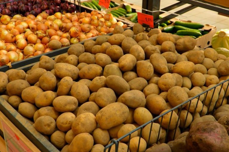 photo 2026 02 03 08 32 46 e1770188814762