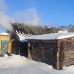 photo 2026 02 04 14 34 37 e1770268450685