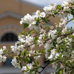 photo 2026 02 05 11 47 46 e1770281440521