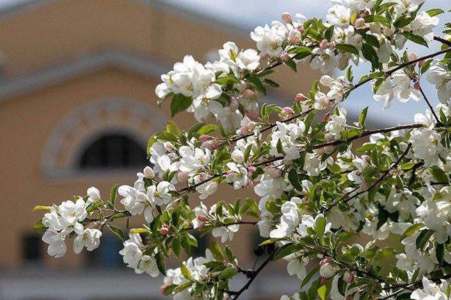 photo 2026 02 05 11 47 46 e1770281440521