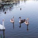 qz62cw23rreh4u8rolmfxw7o916gx060