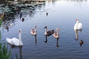 qz62cw23rreh4u8rolmfxw7o916gx060