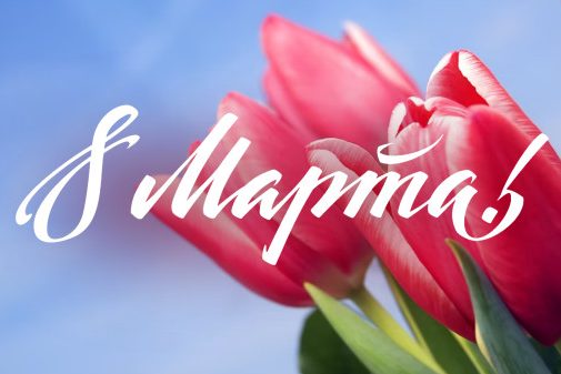 1719911c87bdacd32e307c34cd13bbf4