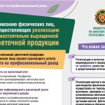 Инфографика_Цветы_НПД