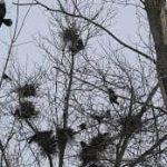 photo_2026-03-02_15-03-12