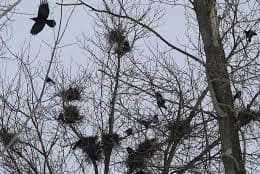 photo_2026-03-02_15-03-12