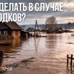 photo 2026 03 03 11 22 36