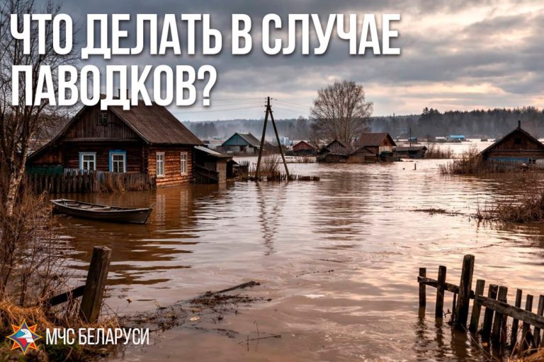 photo 2026 03 03 11 22 36