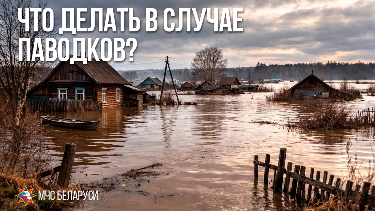 photo_2026-03-03_11-22-36