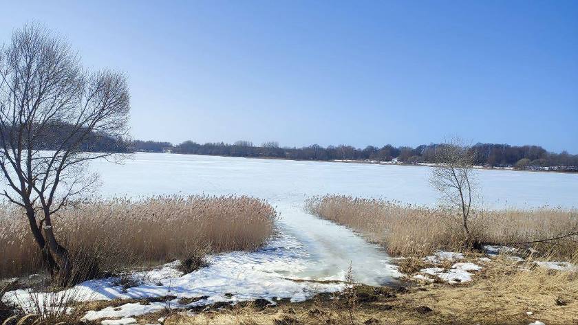 photo_2026-03-14_17-56-20
