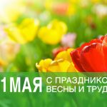 54c6f751565f709de2e99b19d81b30a8