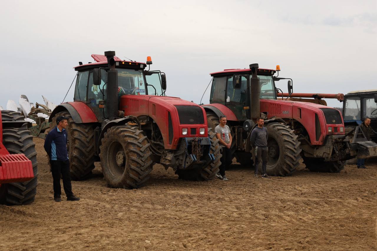 photo_2026-03-31_17-20-47