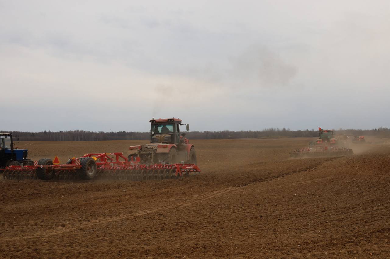 photo_2026-03-31_17-20-50 (2)