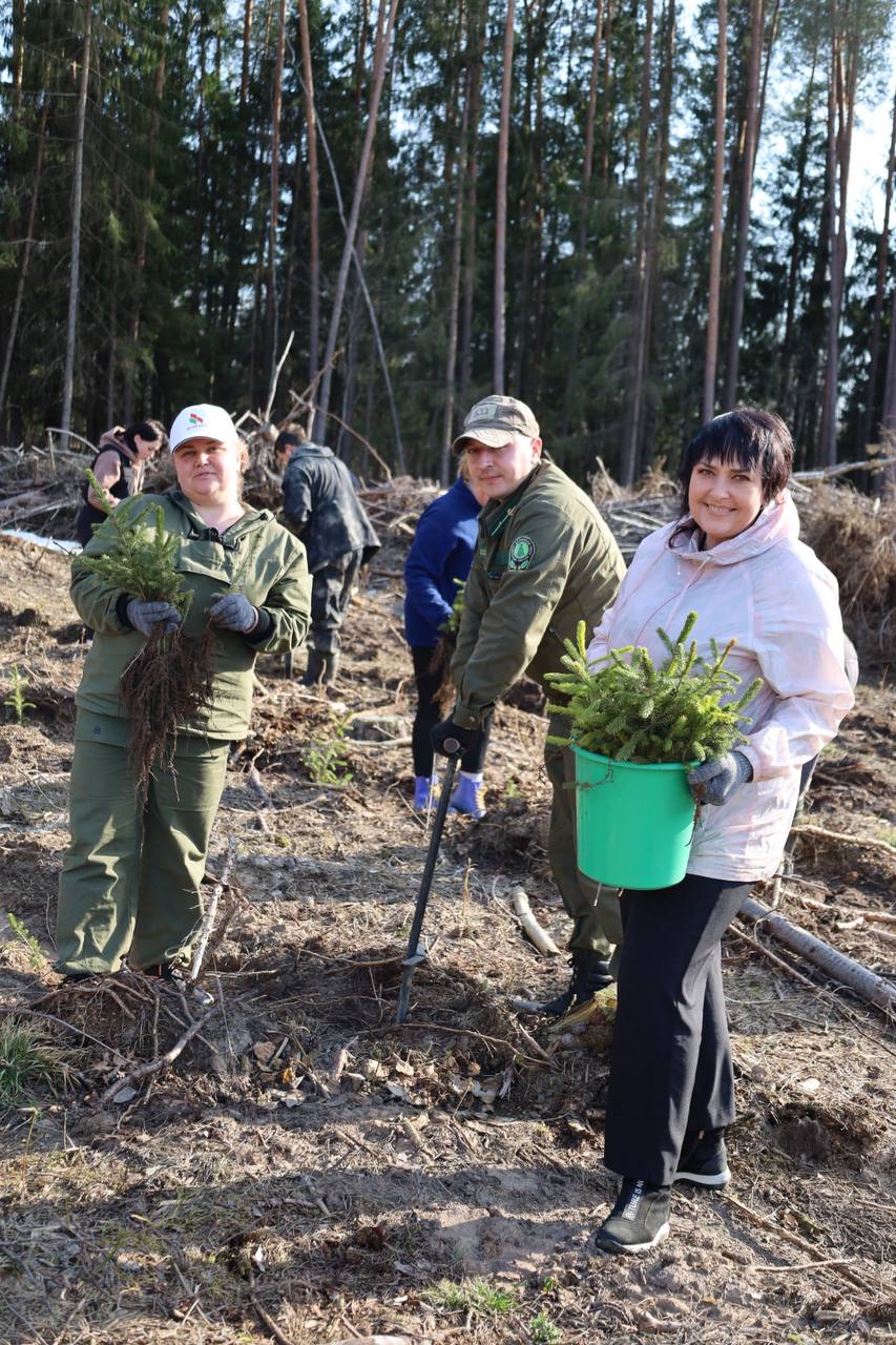 photo_2026-04-01_16-43-17