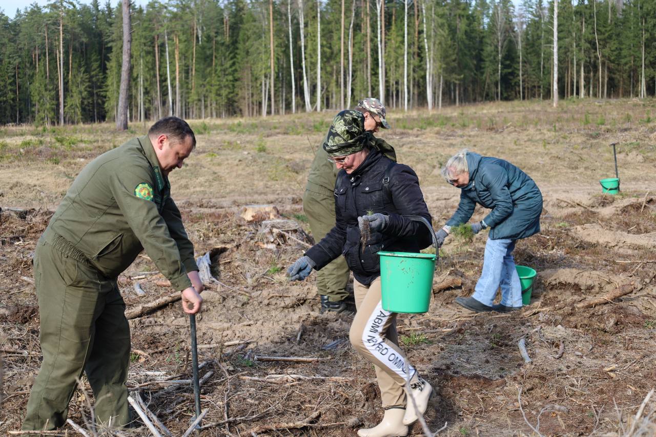 photo_2026-04-01_16-43-18