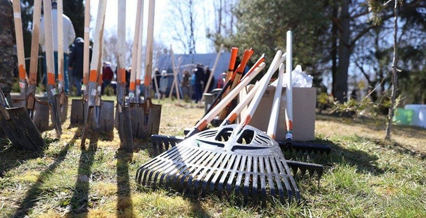 photo_2026-04-03_08-12-45