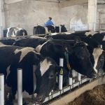 photo_2026-04-03_11-13-45