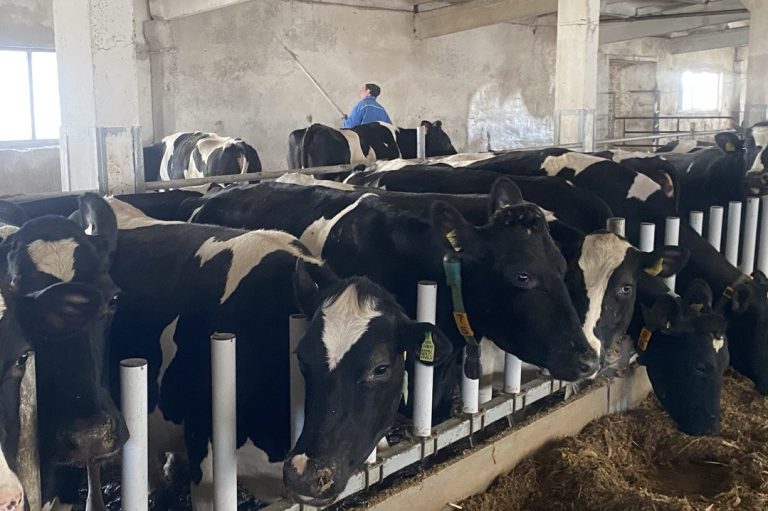 photo_2026-04-03_11-13-45