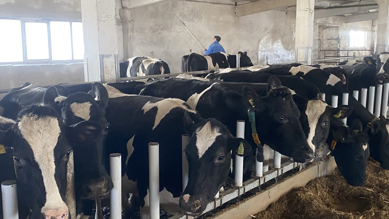 photo_2026-04-03_11-13-45