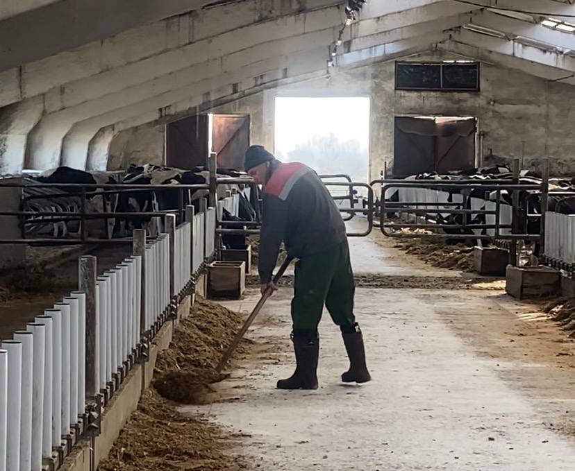 photo_2026-04-03_11-17-19