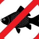 photo_2026-04-07_15-13-37