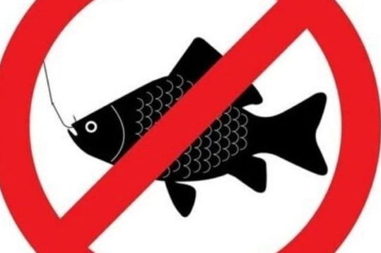 photo_2026-04-07_15-13-37