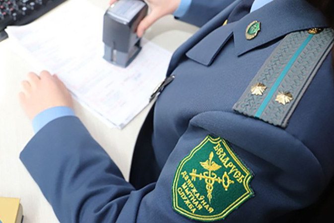 photo_2026-04-13_11-09-06