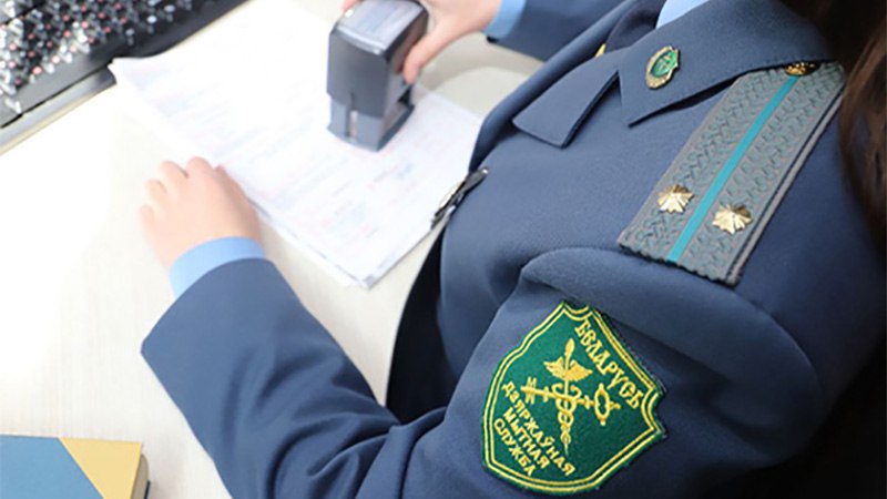 photo_2026-04-13_11-09-06