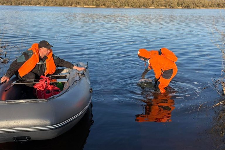 photo_2026-04-14_14-44-11