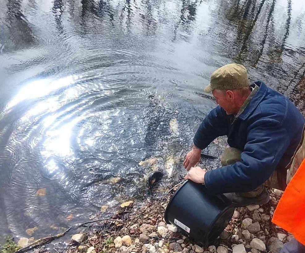photo_2026-04-16_08-42-48