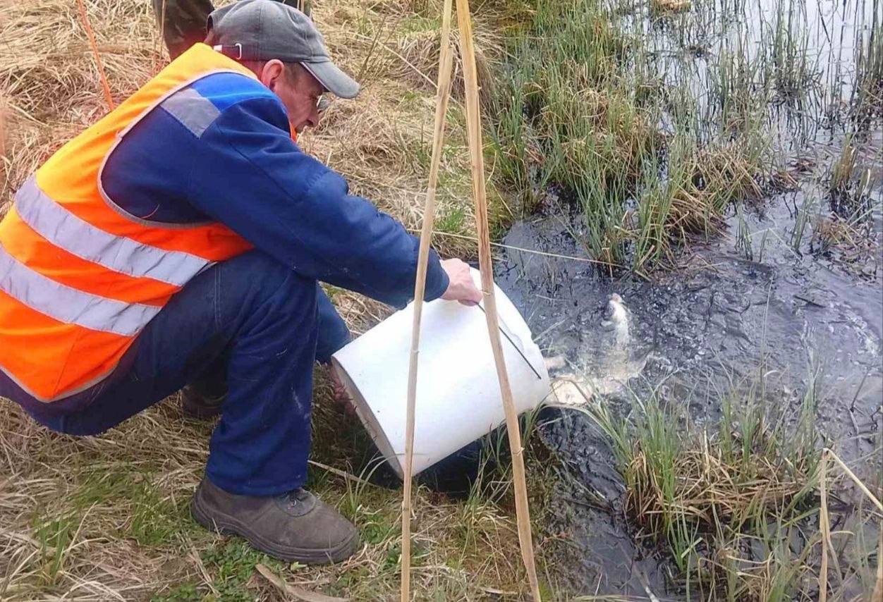 photo_2026-04-16_08-42-57