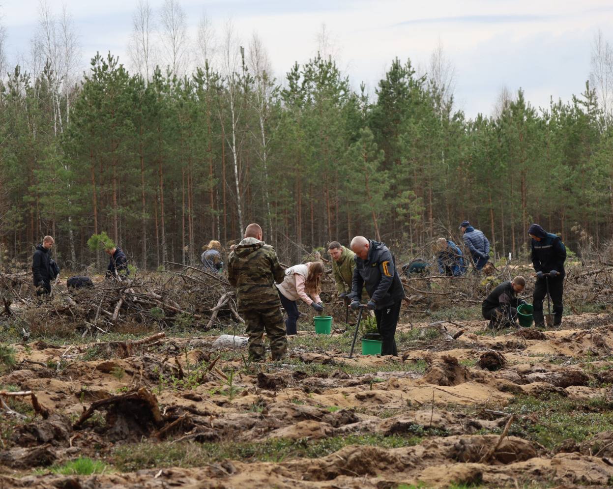 photo_2026-04-16_08-46-07